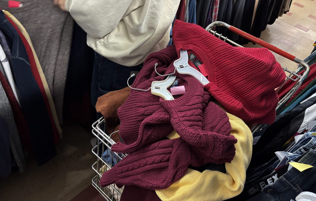 Village Discount has ten locations in the Chicagoland area. (Anna DeBord | The Phoenix)