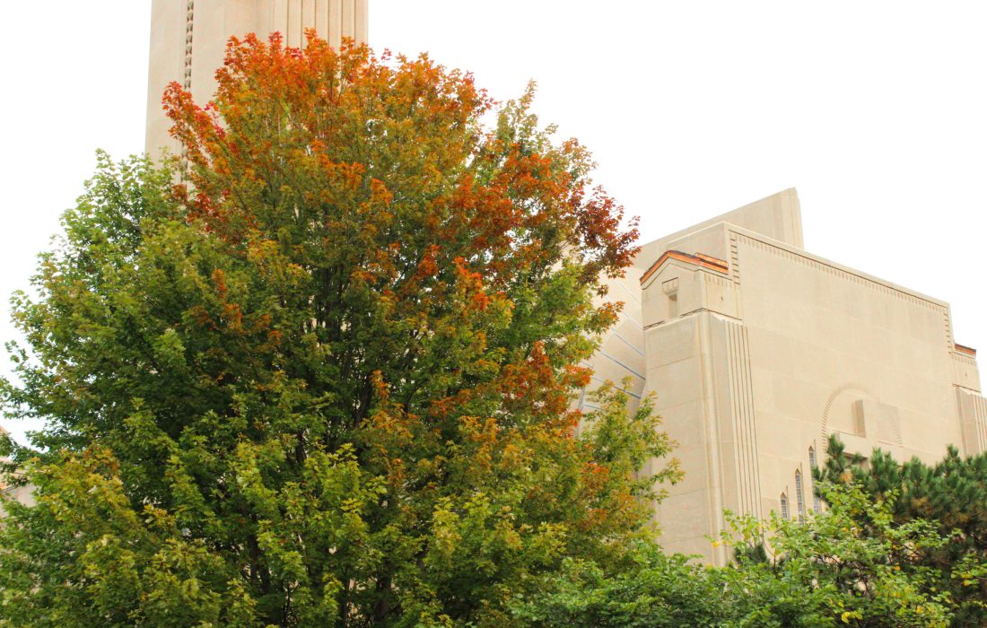 Seasonal depression is common among college students. (Bella Adams | The Phoenix)