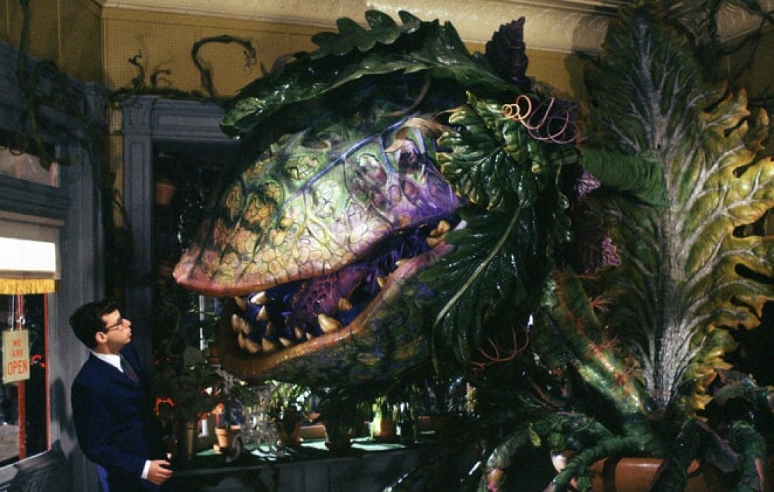 Frank Oz's cult classic "Little Shop of Horrors" released in 1986. (Courtesy of Warner Bros.)