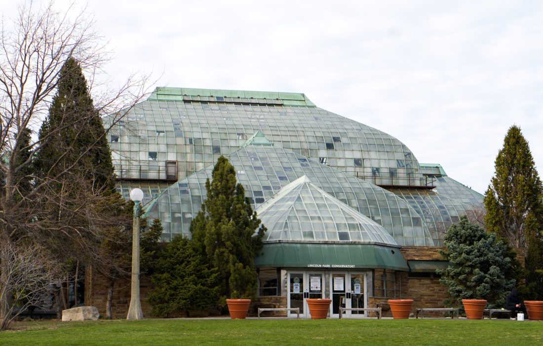 This year, the spring equinox was March 20. (David Bolotin | The Phoenix)