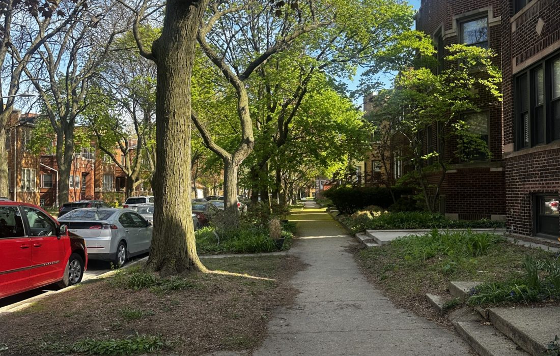Roger’s park is home to many historical brownstone two-flats, often tucked into quiet residential streets surrounding the Lake Shore Campus. (Lilli Malone | The Phoenix)