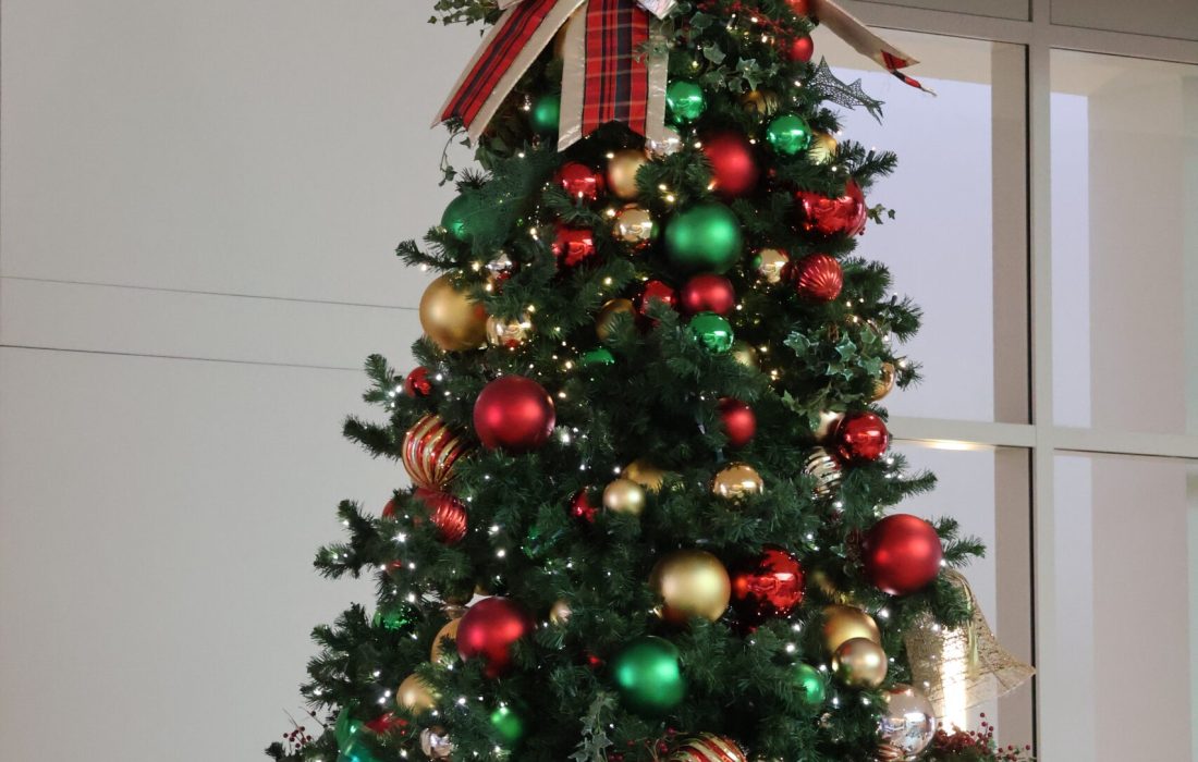 KaylaTanada-seniorholiday-3