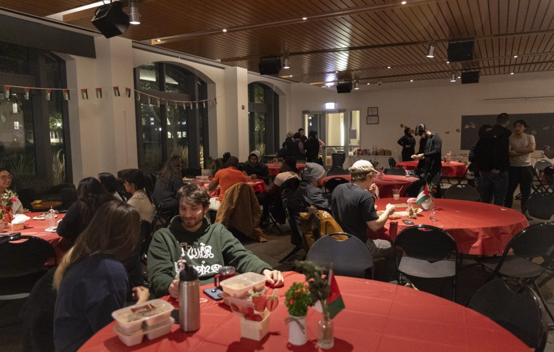 Lilli_Malone_-_Gaza_Strawberries-2