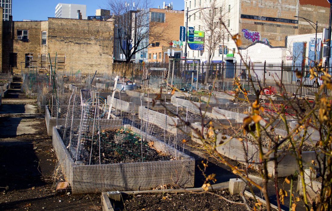 The Vedgewater Garden sits just west of campus and will open to the public in mid-April. (Melanie King | The Phoenix)