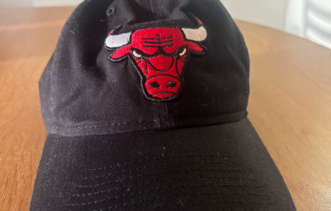 Will Nichols shows off his Bulls merchandise. (Will Nichols | Loyola Phoenix)