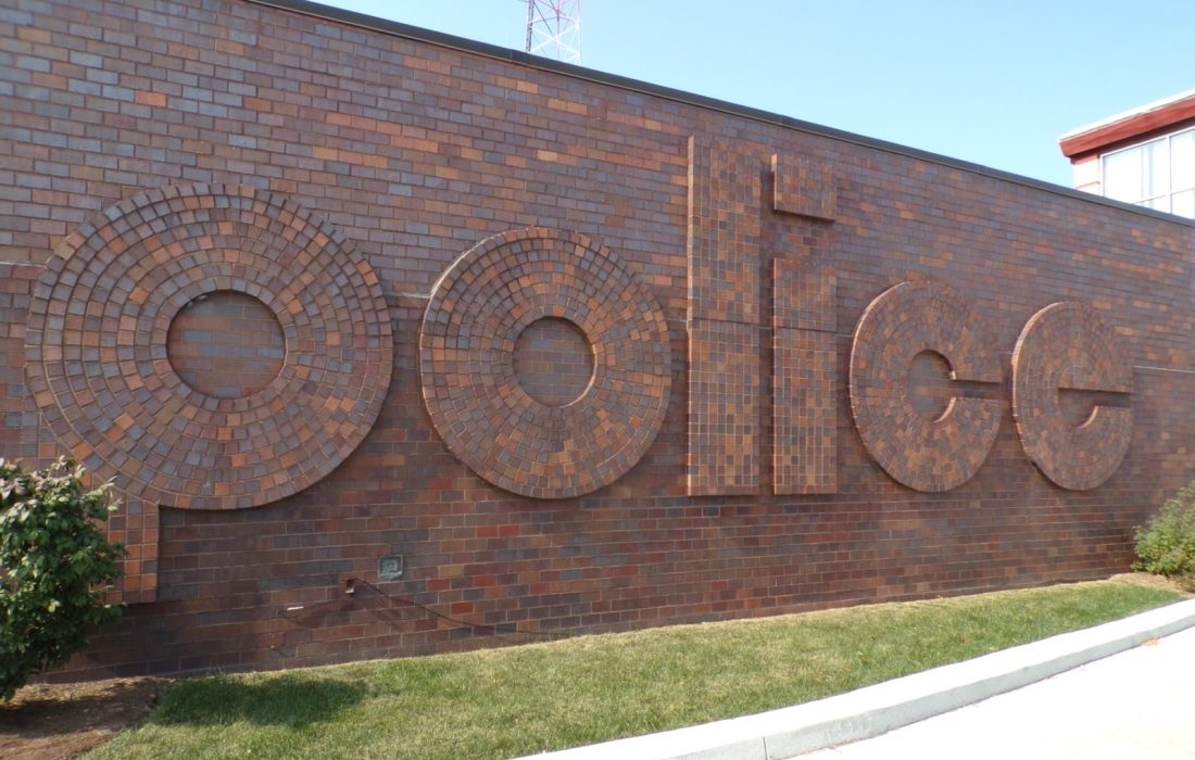 The titular investigator isn't a superhero just some guy whose job isn't his identity. (Seamus Chiles Troutman | The Phoenix)