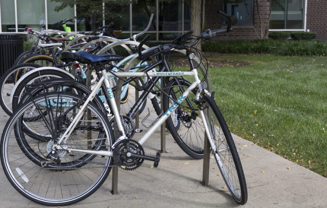 Sinead_Bane_-_Transportation_Week-1