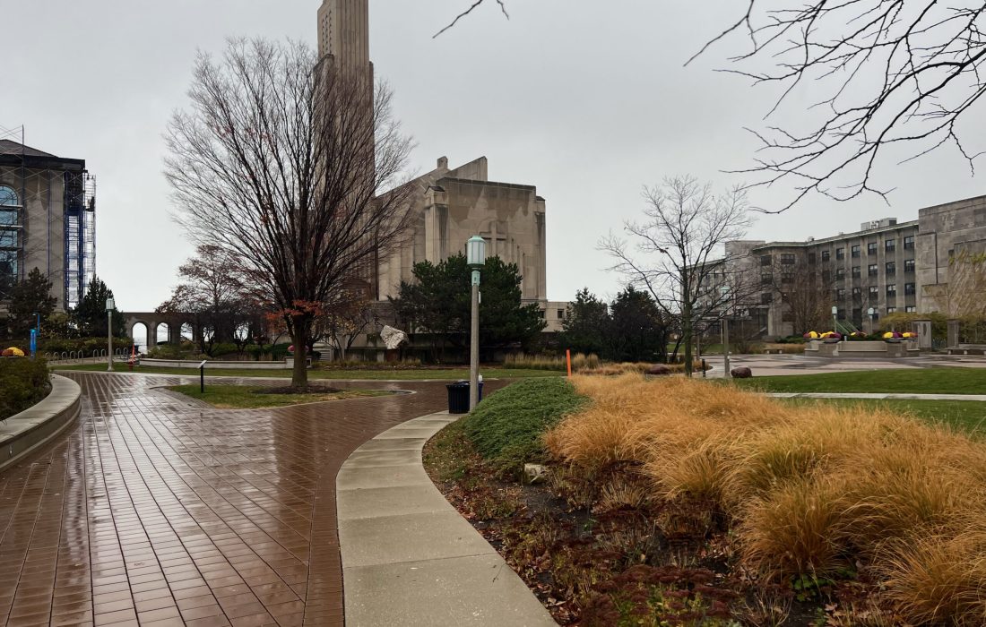 Seasonal affective disorder is more colloquially known as seasonal depression and is more commonly felt during the winter months. (Catherine Meyer | The Phoenix)